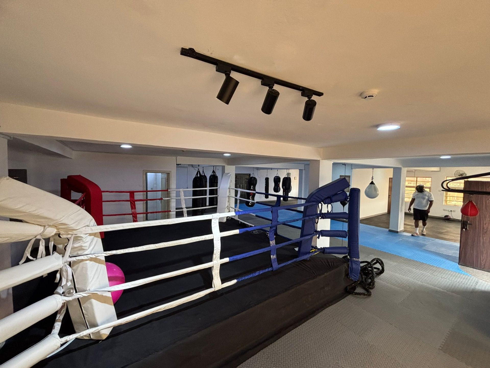 Shadow Cat Boxing Gym training floor